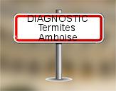 Diagnostic Termite AC Environnement  à Amboise